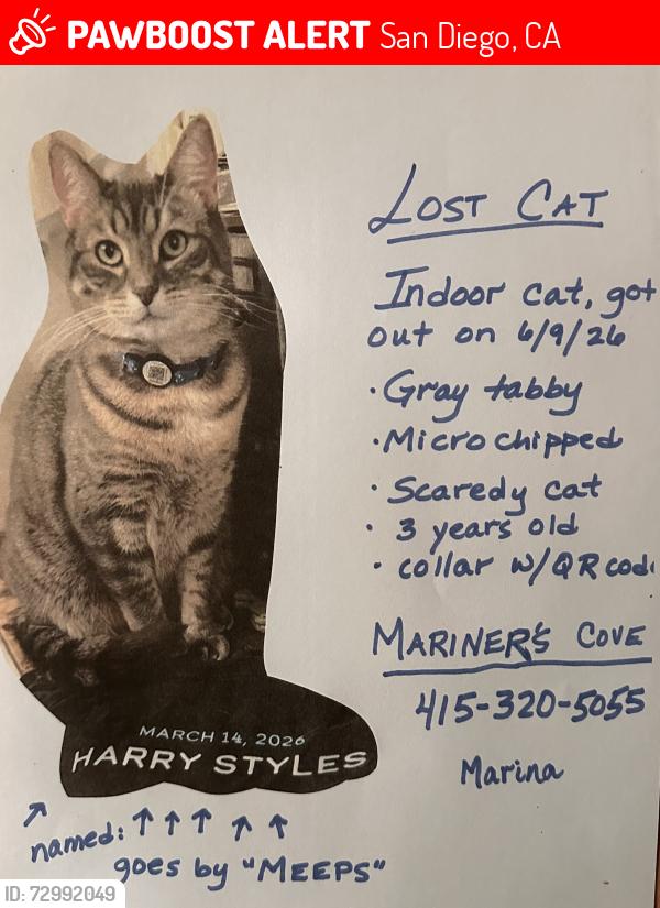 Lost Male Cat last seen Barnes Tennis Club , San Diego, CA 92107