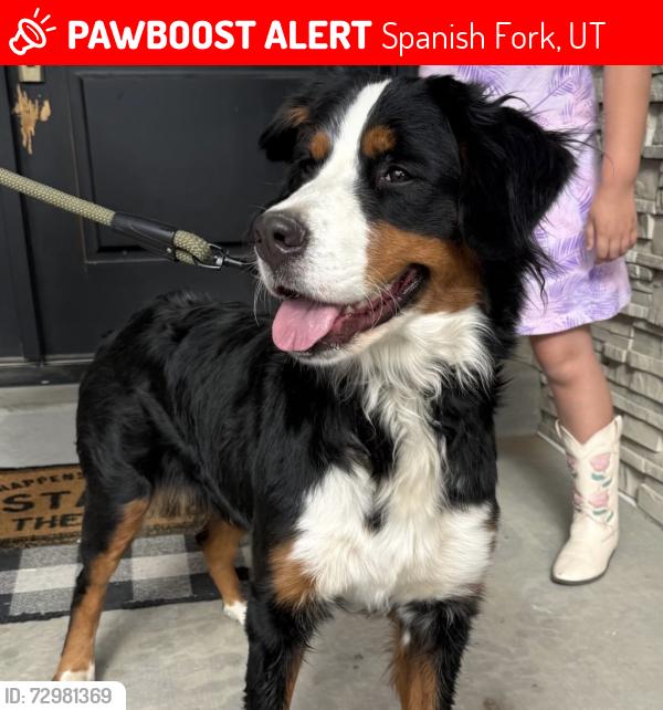 Lost Female Dog last seen Spanish fork , Spanish Fork, UT 84660