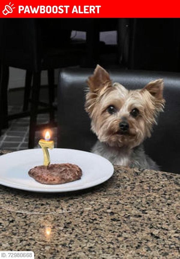 Lost Male Dog last seen Lone Acres Ct, Ringstem in Rancho Cucamonga, Rancho Cucamonga, CA 91737