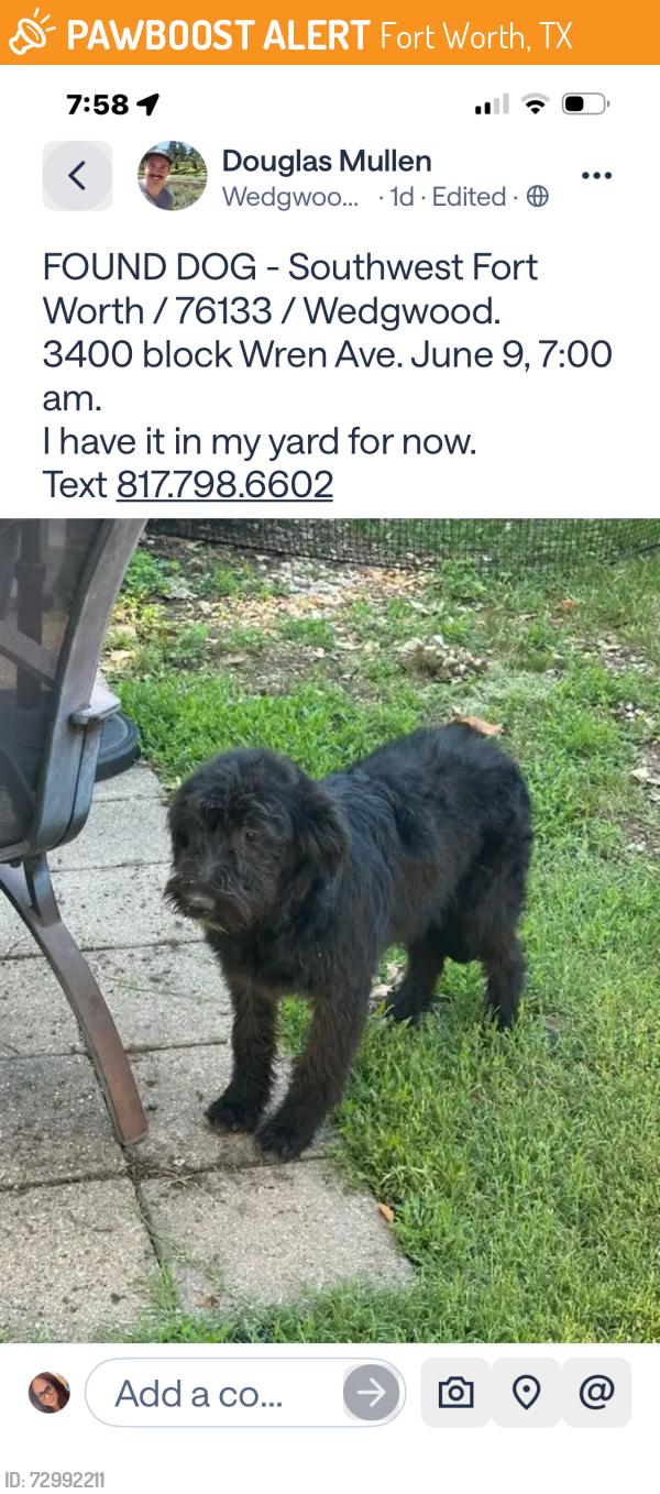 Found/Stray Female Dog last seen Wren and Colusa, Fort Worth, TX 76133