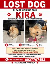 Lost Female Dog last seen Sundance courts, Buckeye, AZ 85326