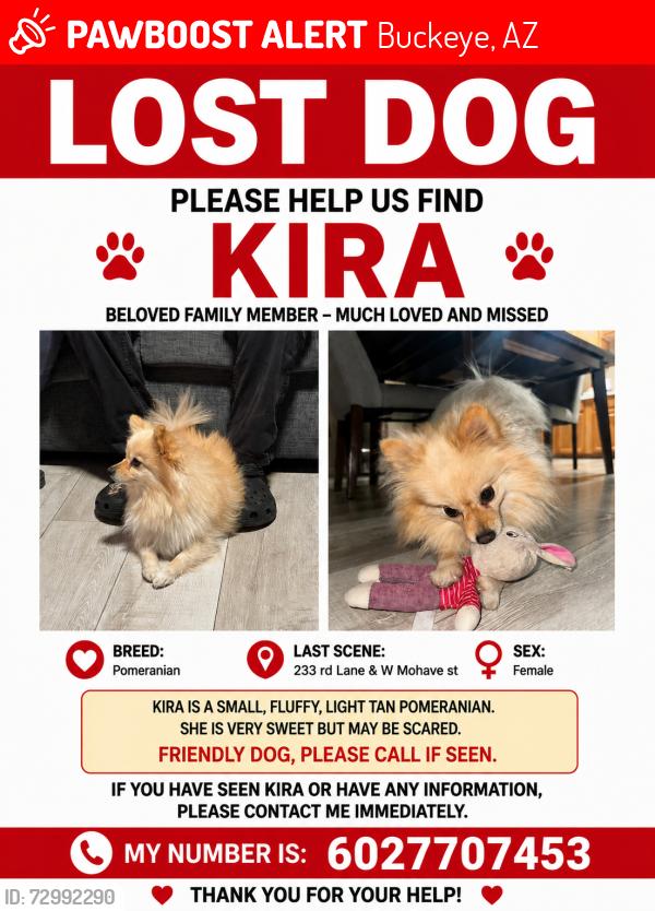 Lost Female Dog last seen Sundance courts, Buckeye, AZ 85326