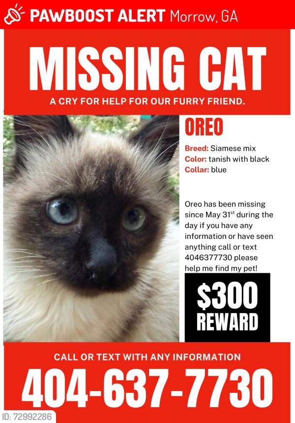 Lost Male Cat last seen Tara elementary and southlakemall, Morrow, GA 30260