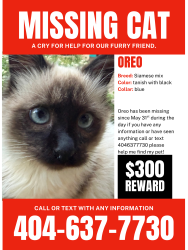 Lost Male Cat last seen Tara elementary and southlakemall, Morrow, GA 30260
