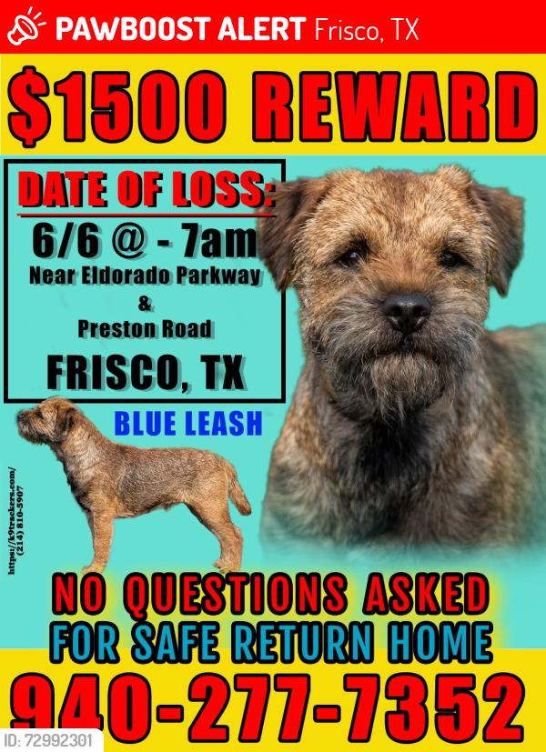 Lost Male Dog last seen Preston Road between ElDorado Parkway and Mockingbird Lane, Frisco, TX 75034