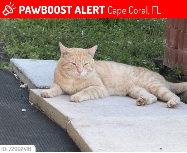 Lost Male Other last seen Near sw 3rd ave, Cape Coral, FL 33991