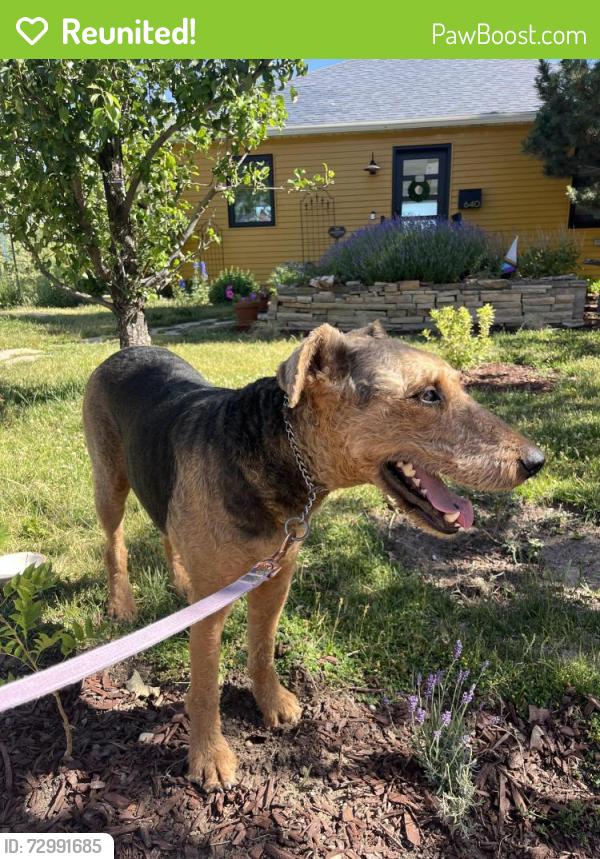 Reunited Male Dog last seen 10th Avenue and J Street , Salt Lake City, UT 84103