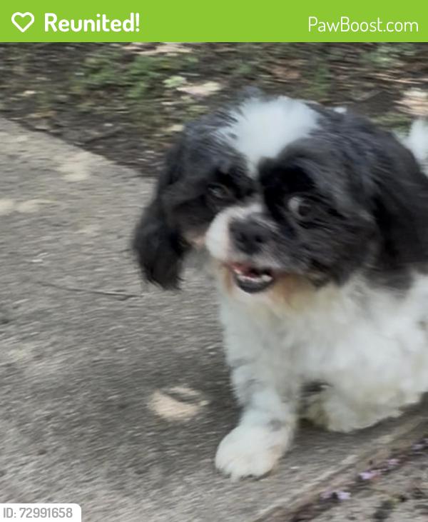 Reunited Unknown Dog last seen Drouet St, Houston, TX 77061, USA, Houston, TX 77061