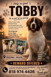 Lost Male Dog last seen Van Nuys Blvd / Bartee, Los Angeles, CA 91331