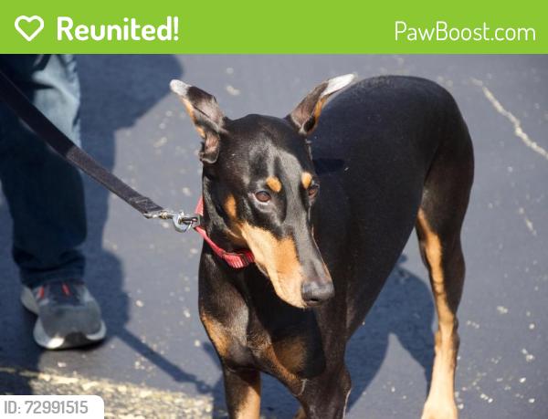 Reunited Female Dog last seen Lake Andrea near Rec Plex, Pleasant Prairie, WI 53158