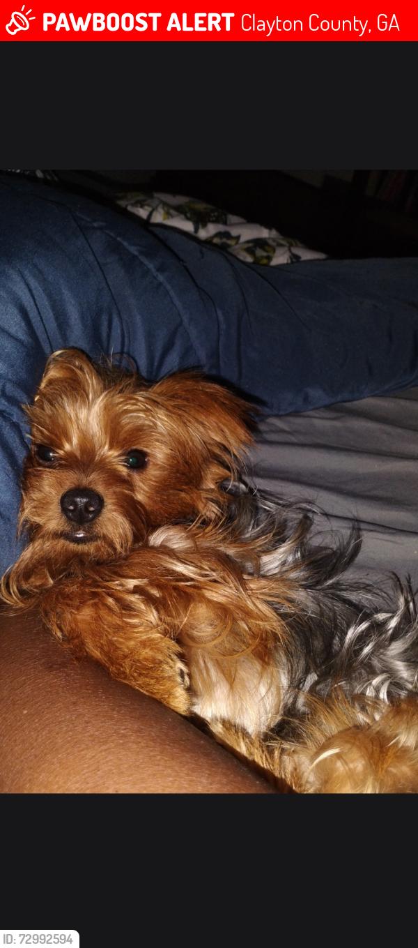 Lost Male Dog last seen 138, Jonesboro rd, Clayton County, GA 30236