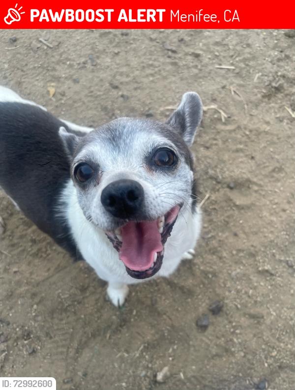 Lost Female Dog last seen Murrieta Road & Corson Road, Menifee, CA 92584