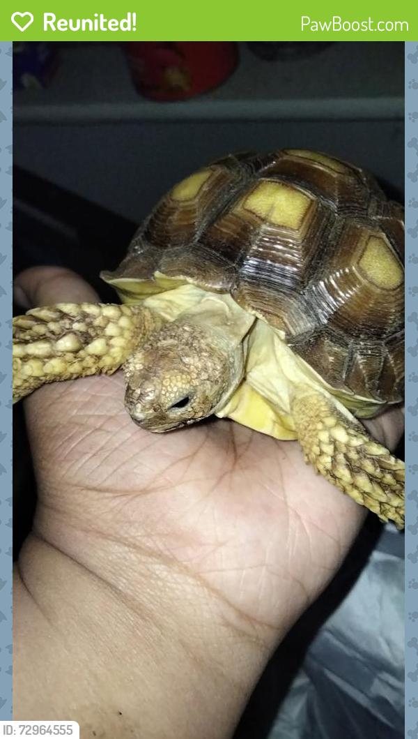 Reunited Female Reptile last seen Forest hill drive , Forest Hill, TX 76140