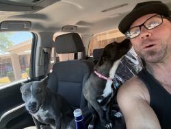 Reunited Female Dog last seen Near e Colgate dr Tempe Az 85283, Tempe, AZ 85283