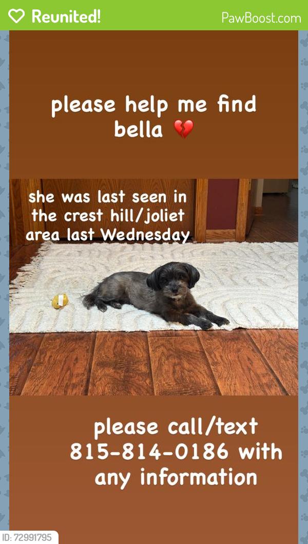Reunited Female Dog last seen Nearby Theodore Park in Crest Hill , Crest Hill, IL 60403
