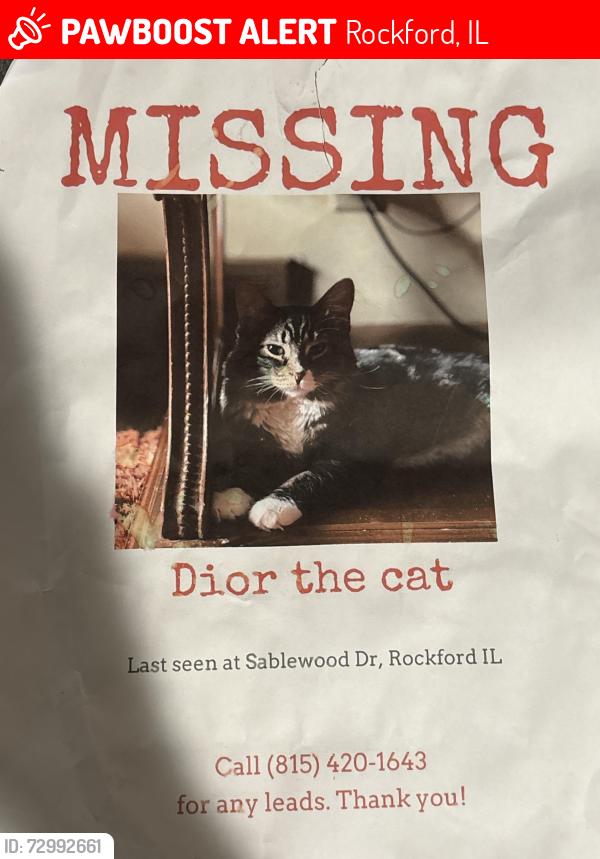 Lost Male Cat last seen Sablewood Dr Rockford IL, Rockford, IL 61101