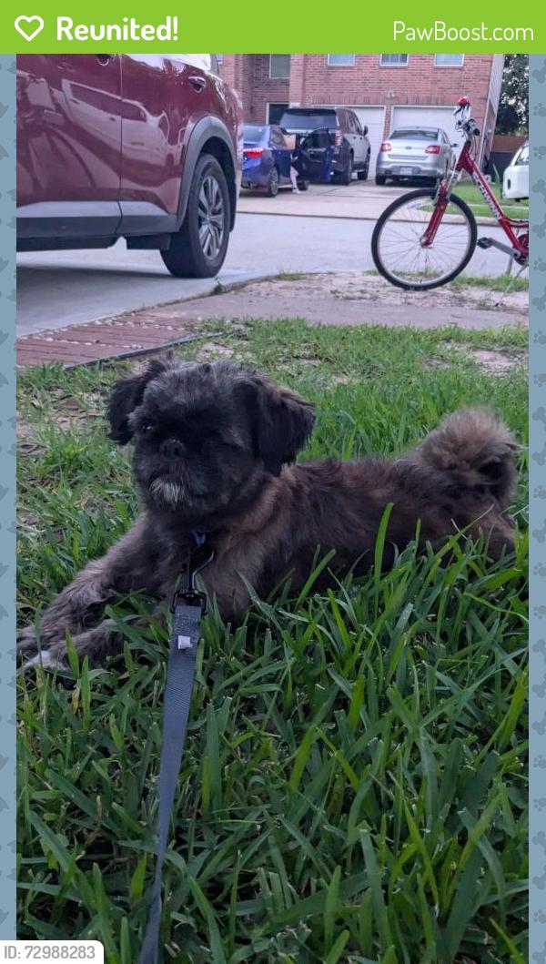 Reunited Male Dog last seen Revelstoke dr, Houston, TX 77086