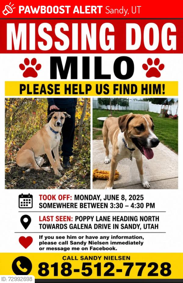 Lost Male Dog last seen Poppy Lane Sandy, UT, Sandy, UT 84092