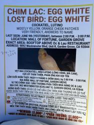 Lost Unknown Bird last seen Mall of Fortune Plaza, Garden Grove, CA 92844