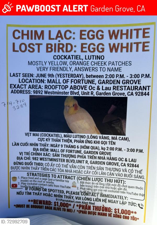 Lost Unknown Bird last seen Mall of Fortune Plaza, Garden Grove, CA 92844