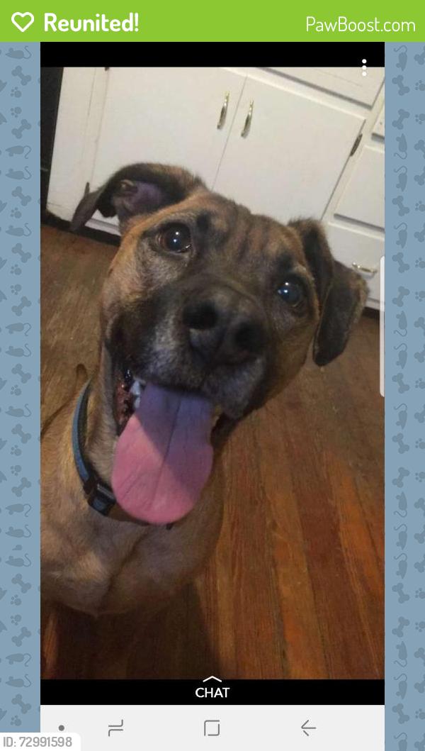 Reunited Male Dog last seen Southeastern and Arlington, Indianapolis, IN 46203