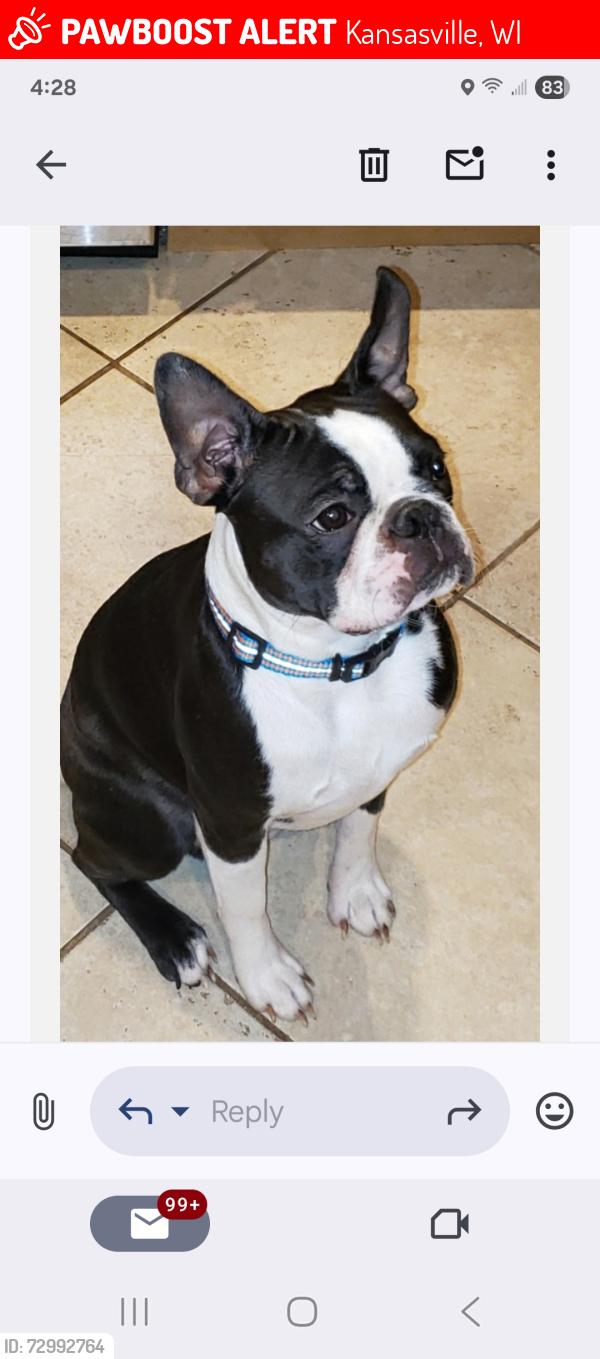 Lost Male Dog last seen Byways 20 and north bound 45, Kansasville, WI 53139
