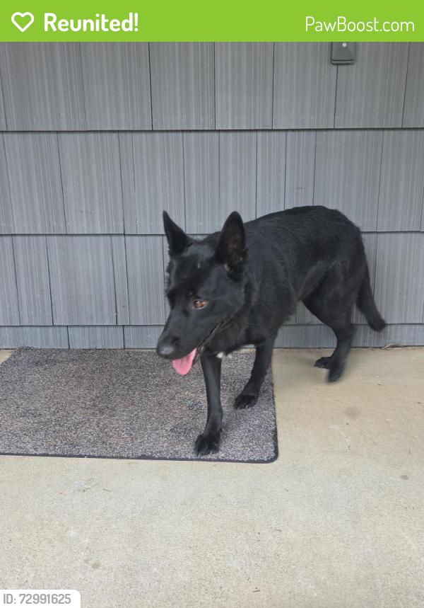 Reunited Unknown Dog last seen Burton Road, Vancouver, WA 98662