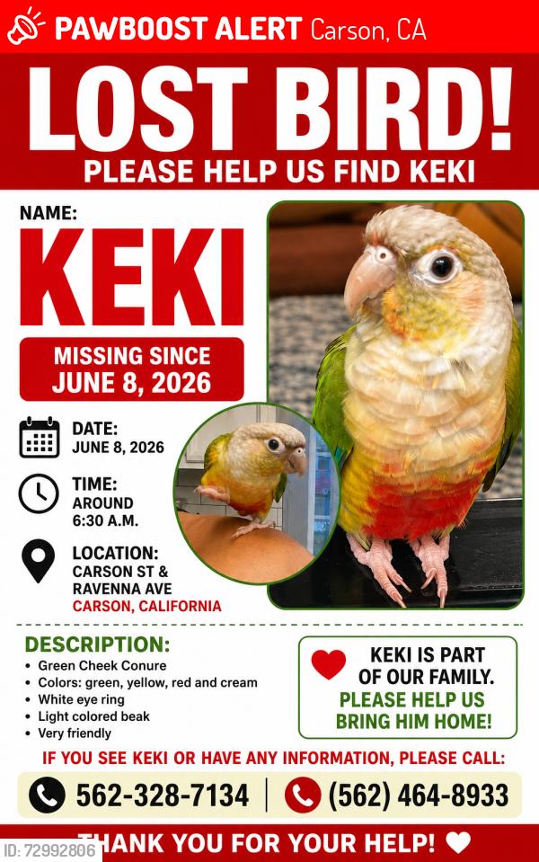 Lost Unknown Bird last seen Carson st &Ravenna av , Carson, CA 90745