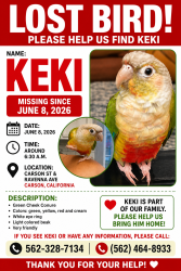 Lost Unknown Bird last seen Carson st &Ravenna av , Carson, CA 90745