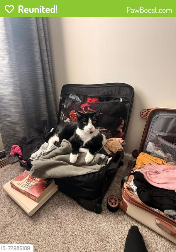 Reunited Male Cat last seen Upper bottom road, Saint Charles, MO 63303