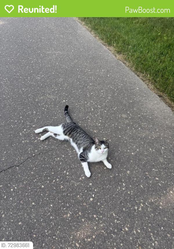 Reunited Female Cat last seen Minnehaha , Maplewood, MN 55119