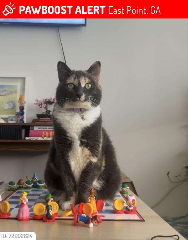 Lost Female Cat last seen Between Jefferson Ave and brookdale dr, East Point, GA 30344