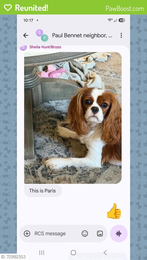 Reunited Female Dog last seen Sharp Street, Virginia Beach, VA 23452