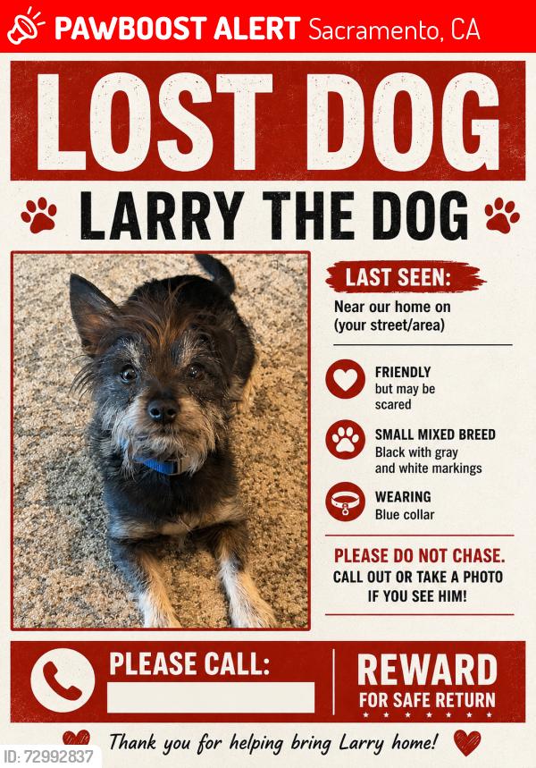 Lost Male Dog last seen Northgate , Sacramento, CA 95815