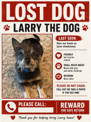 Lost Male Dog last seen Northgate , Sacramento, CA 95815