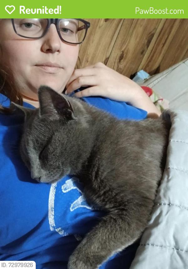 Reunited Male Cat last seen Johnson St, Vass, NC 28394