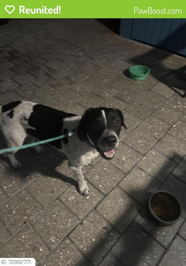 Reunited Unknown Dog last seen Northeast 30TH ST Pompano Beach, Pompano Beach, FL 33064