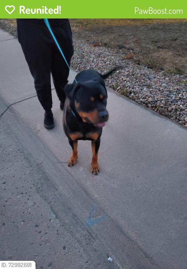 Reunited Male Dog last seen E Linvale Dr & Ventura, Aurora, CO 80013
