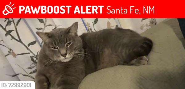 Lost Male Cat last seen Pojoaque near dollar general at the Pojoaque terrace mobile home park, Santa Fe, NM 875068332
