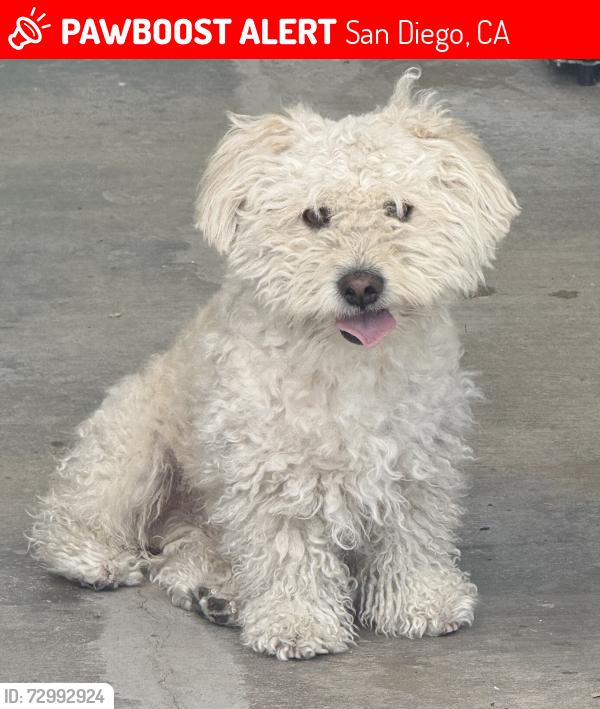 Lost Male Dog last seen Shadewood Lane, San Diego, CA 92139