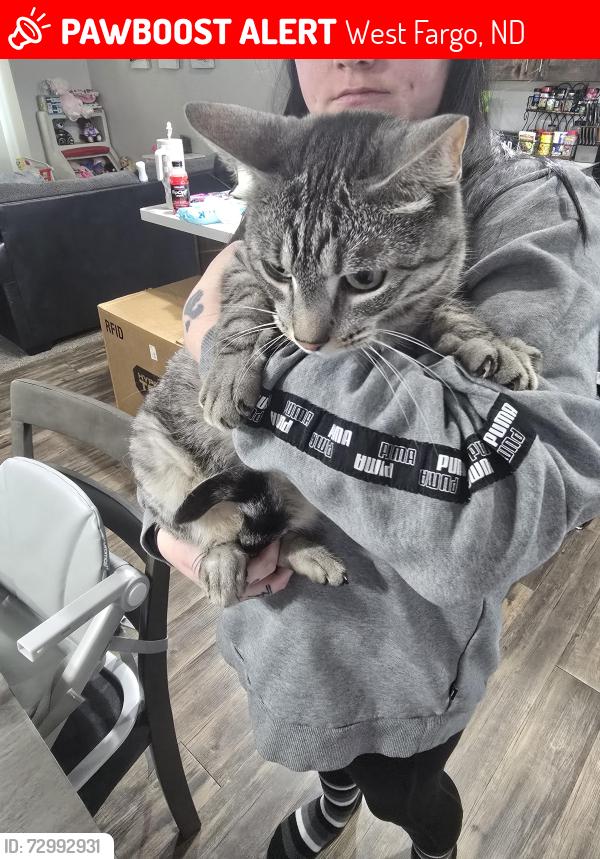 Lost Male Cat last seen West Fargo Police Station, West Fargo, ND 58078