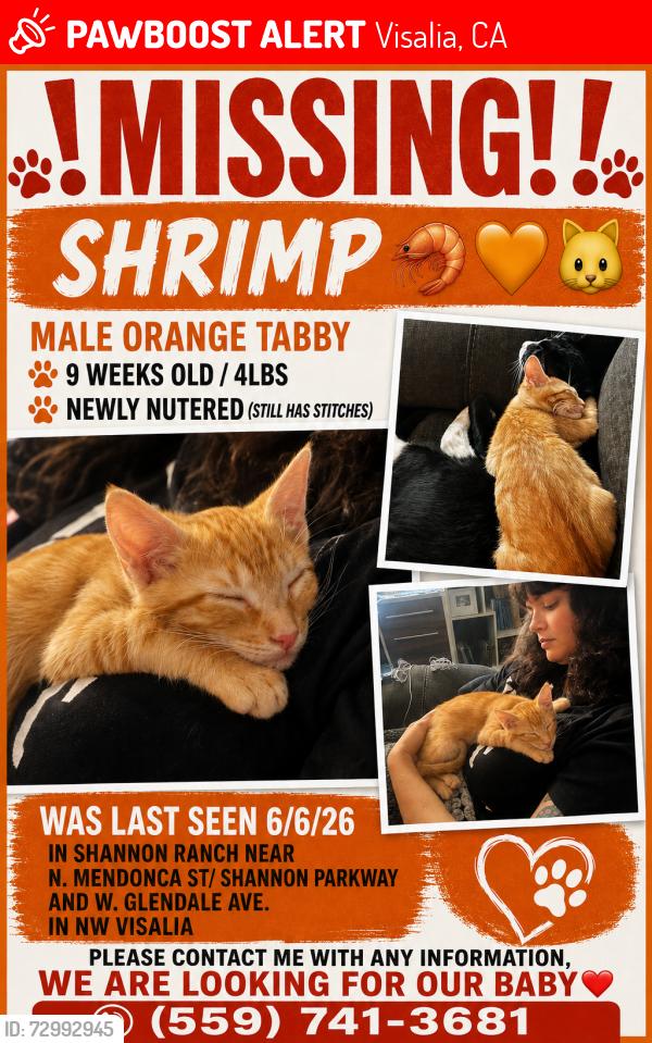 Lost Male Cat last seen N. Mendonca, W. Glendale Ave , Visalia, CA 93291