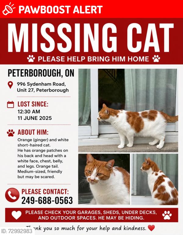 Lost Male Cat last seen He left from back side of the hse , Peterborough, ON K9J 1J7