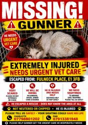 Lost Male Cat last seen Mile end road, Stepney Green, England E1 3FB