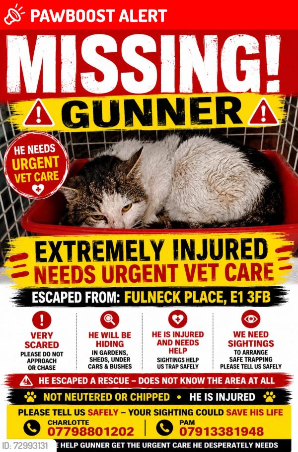 Lost Male Cat last seen Mile end road, Stepney Green, England E1 3FB