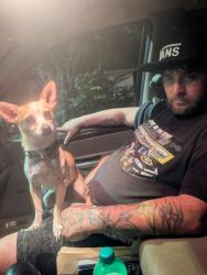 Reunited Male Dog last seen On union rd near omnimart and subway or don pedros, Gastonia, NC 28056
