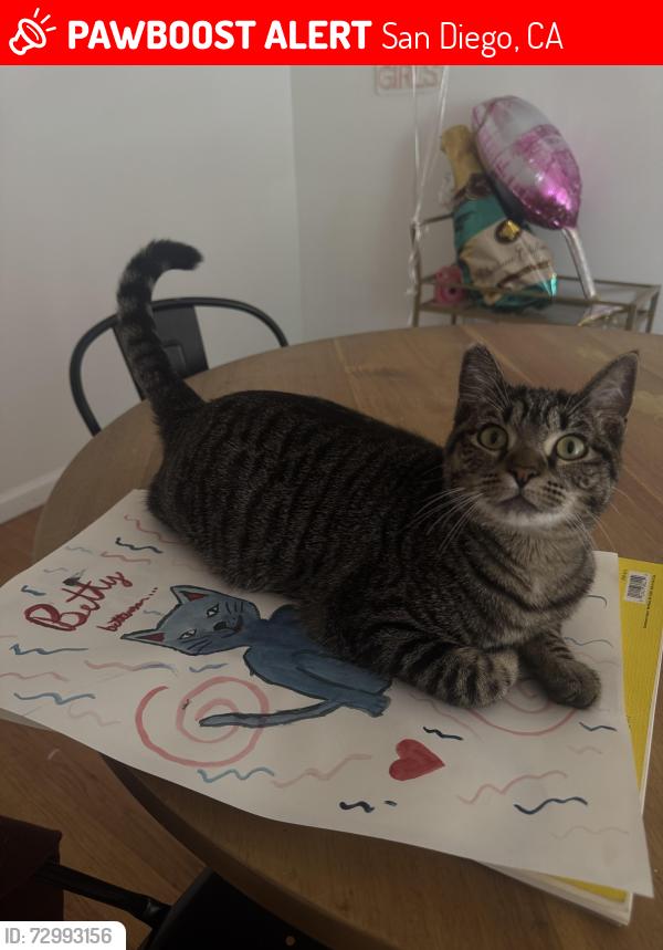 Lost Female Cat last seen 59th and Adams , San Diego, CA 92115