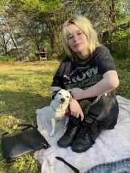Lost Female Dog last seen Warsaw tx community center, Kaufman, TX 75142