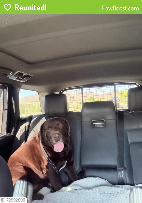 Reunited Male Dog last seen Calle Lomas Dr & Calle Lago Dr, El Paso, TX 79912, USA, El Paso, TX 79912