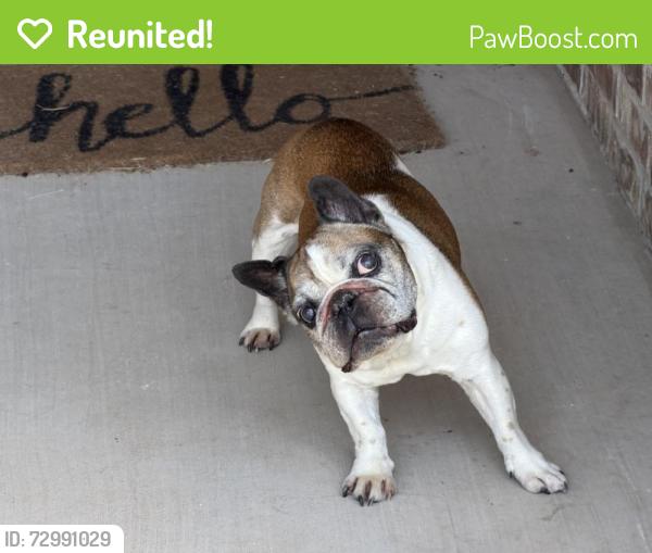Reunited Unknown Dog last seen Near Oakmonte Cir, Logan County, OK 73025